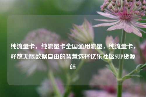 纯流量卡，纯流量卡全国通用流量，纯流量卡	，释放无限数据自由的智慧选择亿乐社区SUP货源站  第1张