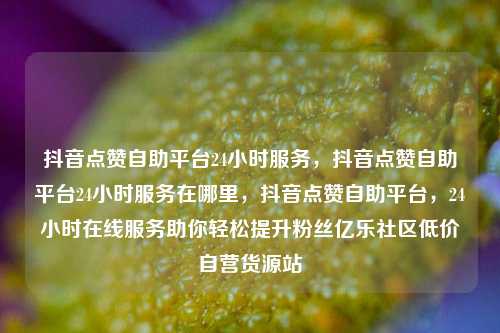 抖音点赞自助平台24小时服务，抖音点赞自助平台24小时服务在哪里	，抖音点赞自助平台，24小时在线服务助你轻松提升粉丝亿乐社区低价自营货源站  第1张